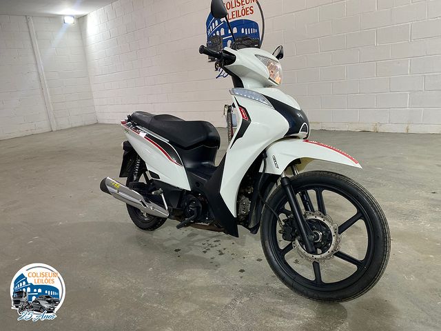 LOTE 21 SHINERAY XY 50 Q2 RETRO/JET/B 2022/2022