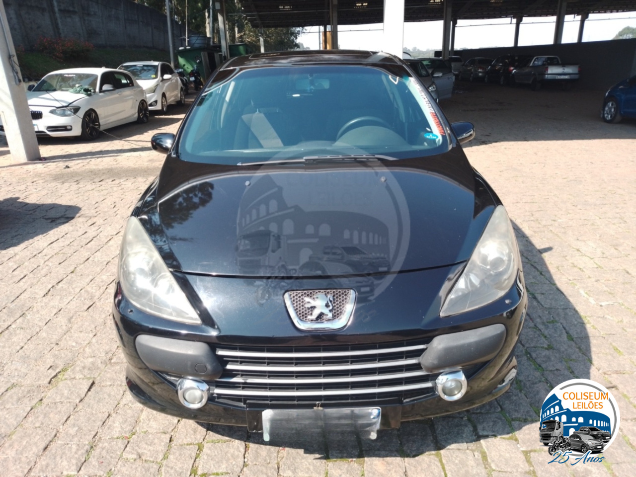 LOTE 28 PEUGEOT/307 16 PR PK FLEX 2008/2009