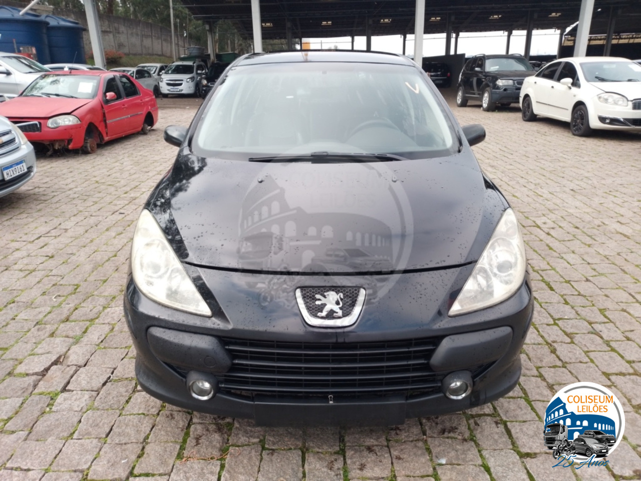 LOTE 20 PEUGEOT/307 16 FX PR FLEX 2010/2011