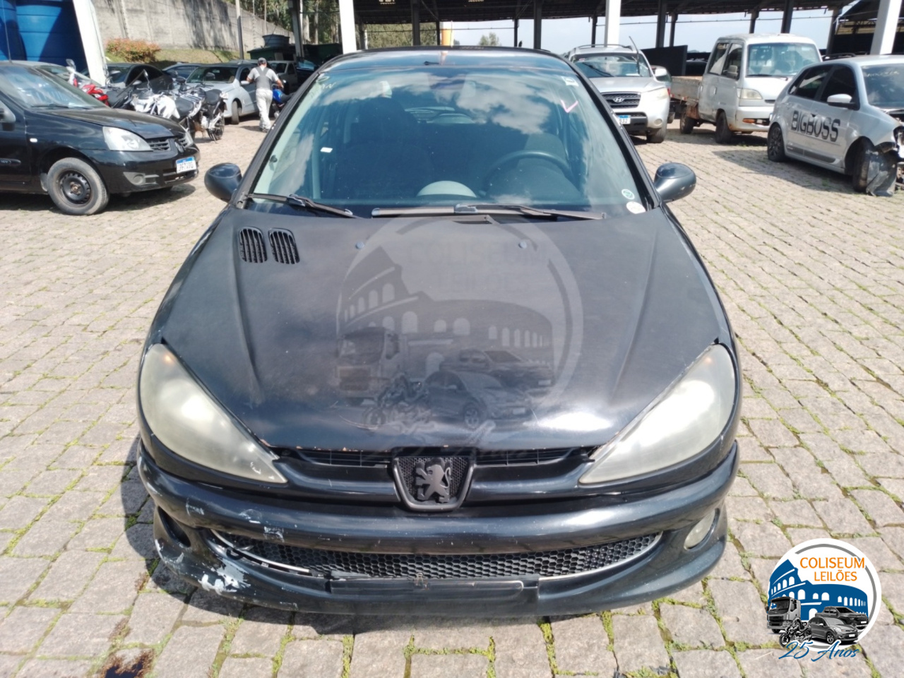LOTE 29 PEUGEOT/206 14 FELINE FX FLEX 2006/2007