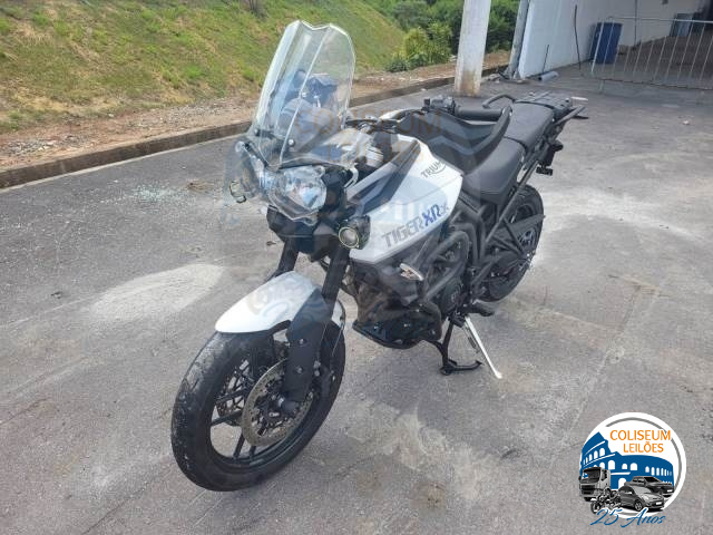 LOTE 27 TRIUMPH TIGER 2015/2015 GASOLINA 