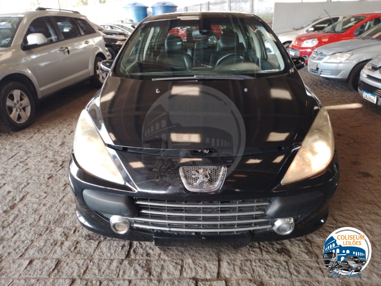 LOTE 33 PEUGEOT/307 20S A FELI GASOLINA 2006/2007