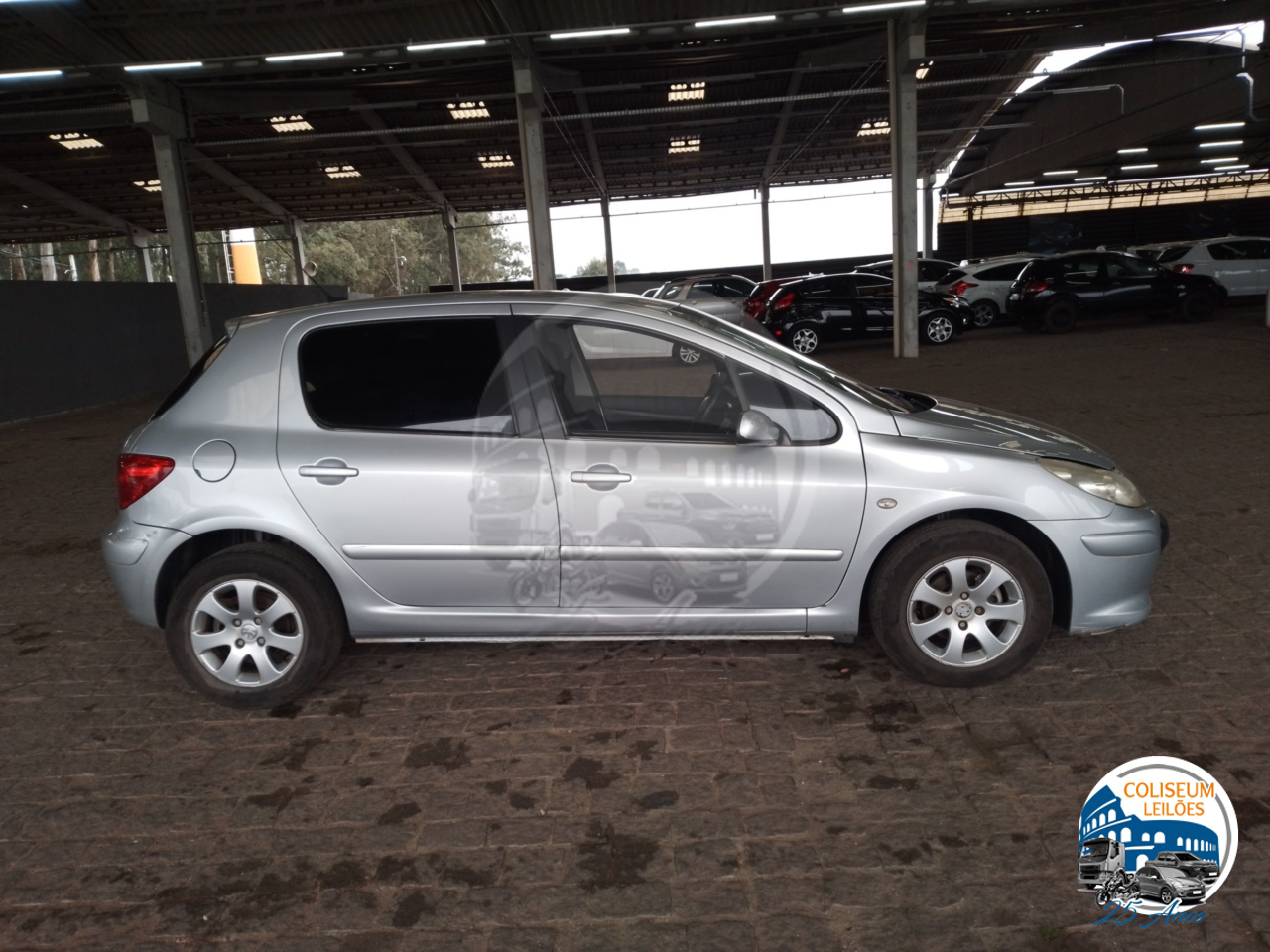 LOTE 35 PEUGEOT/307 16 FX PR FLEX 2007/2008